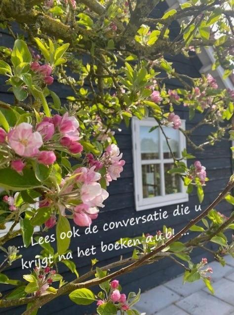 'T Schouws Uusje Vila Burgh-Haamstede Exterior foto
